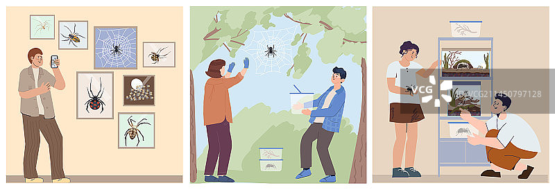 蜘蛛昆虫正方形构图图片素材