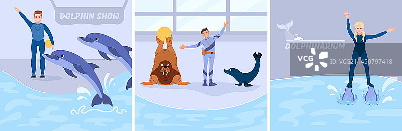 扁平风海豚表演合集图片素材