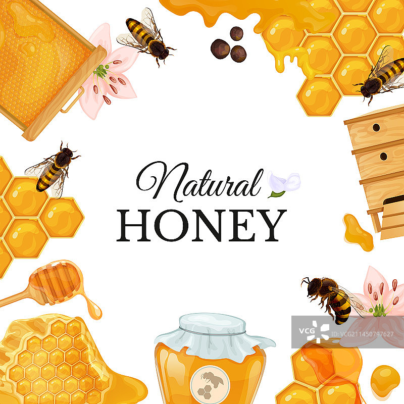 天然蜂蜜框架构图图片素材
