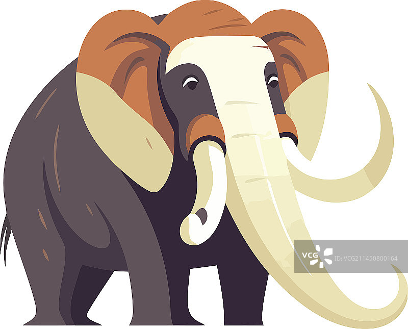 站立的可爱小象图片素材