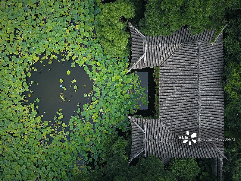 古宅荷塘-小莲庄图片素材