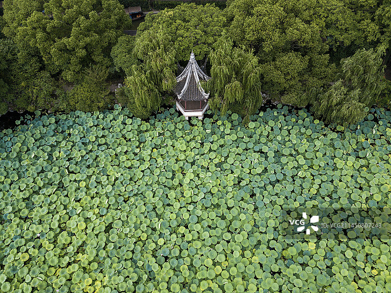 水榭楼阁观荷亭-南浔小莲庄图片素材