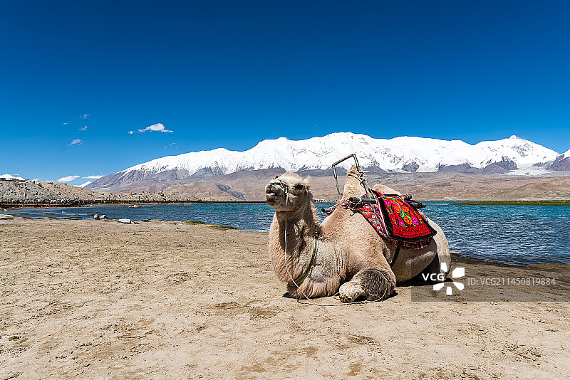 喀拉库勒湖与慕士塔格峰图片素材