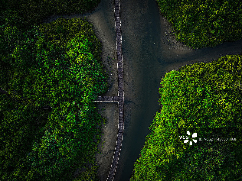 富力红树林湿地公园图片素材