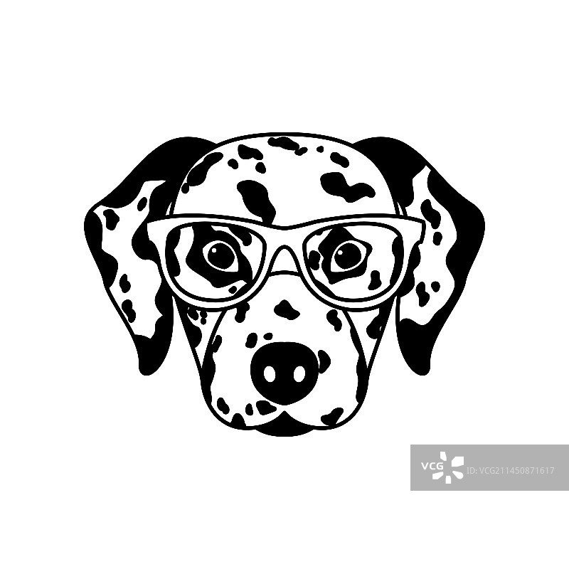 戴眼镜的斑点狗肖像图片素材