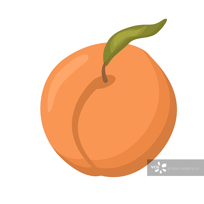 带树叶的嫩枝上的完整桃子图片素材