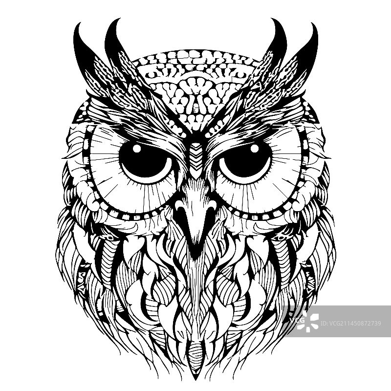 猫头鹰鸟类面部涂鸦手绘素描图片素材