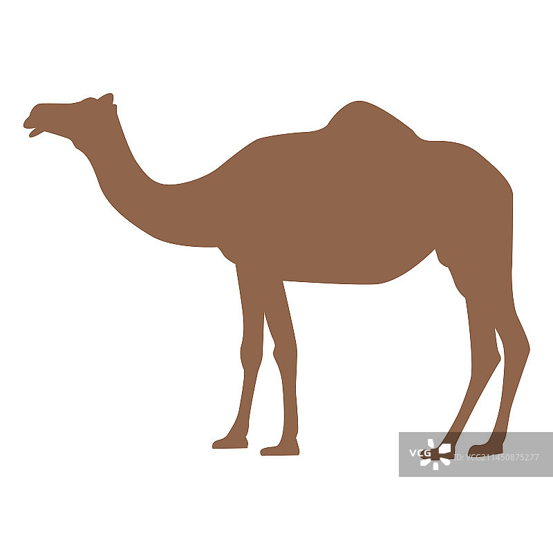 骆驼轮廓剪影图片素材