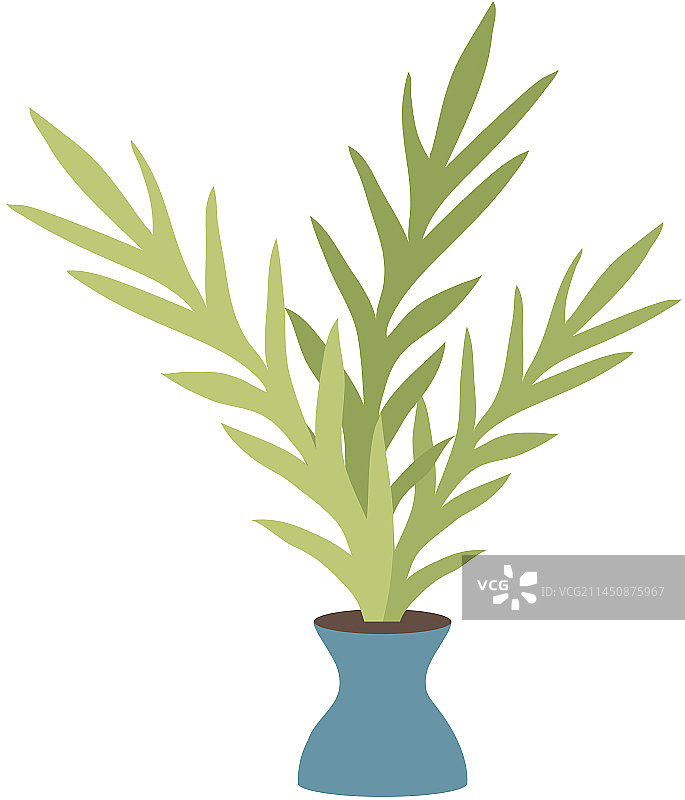 盆栽家庭或办公室植物图片素材