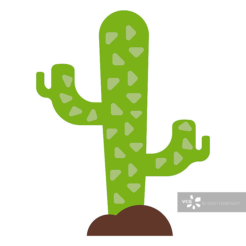 仙人掌刺图片素材