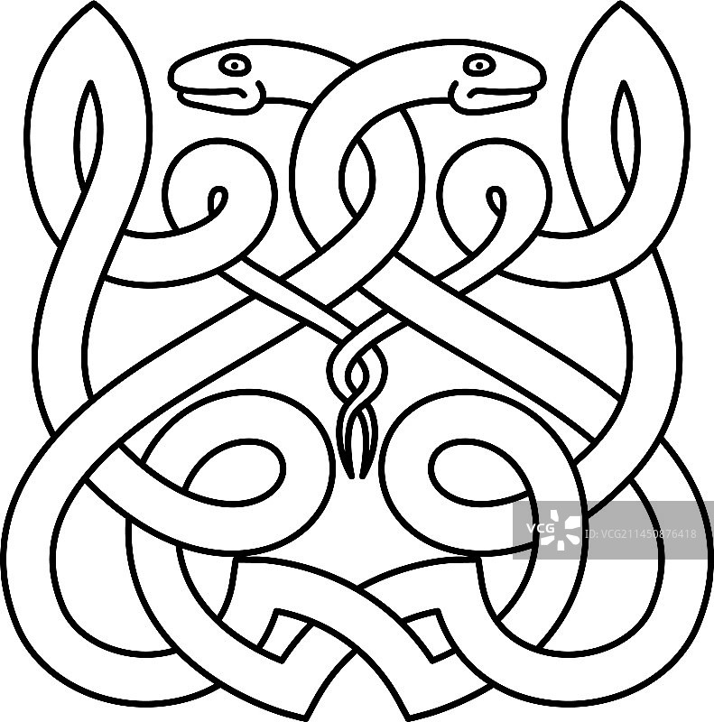 凯尔特结中的蛇图片素材