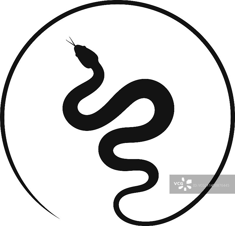 白色圆圈中蛇的特写图片素材