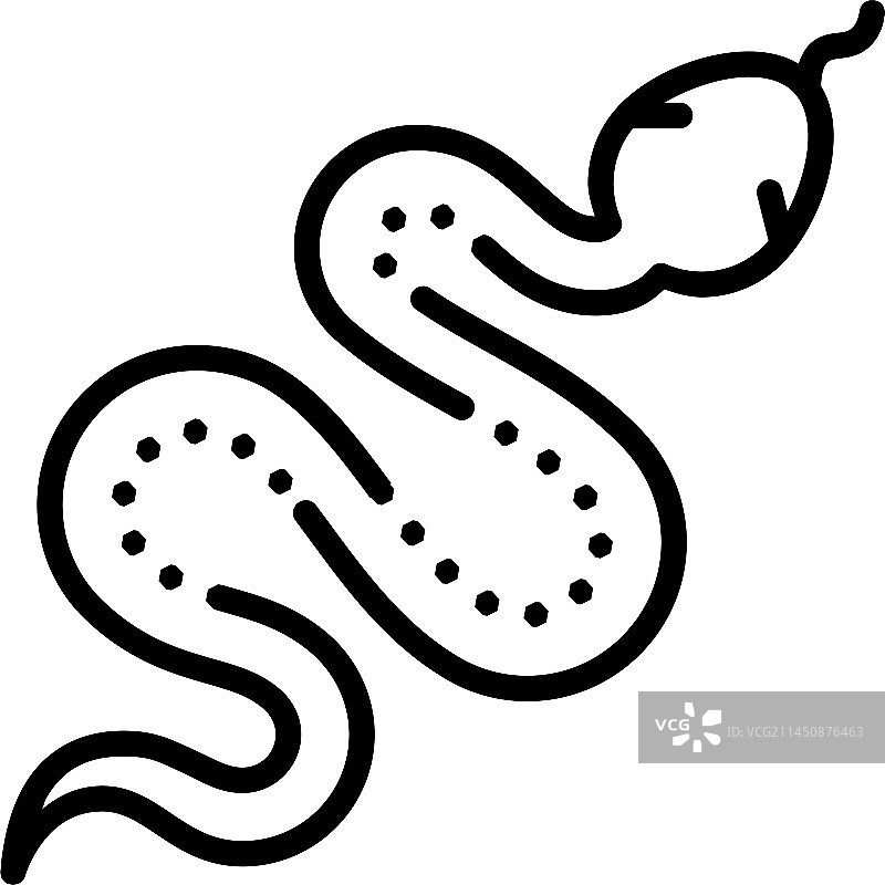 蛇的黑白素描图片素材