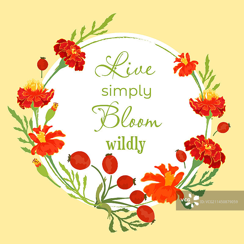 种有精致香草的花园图片素材