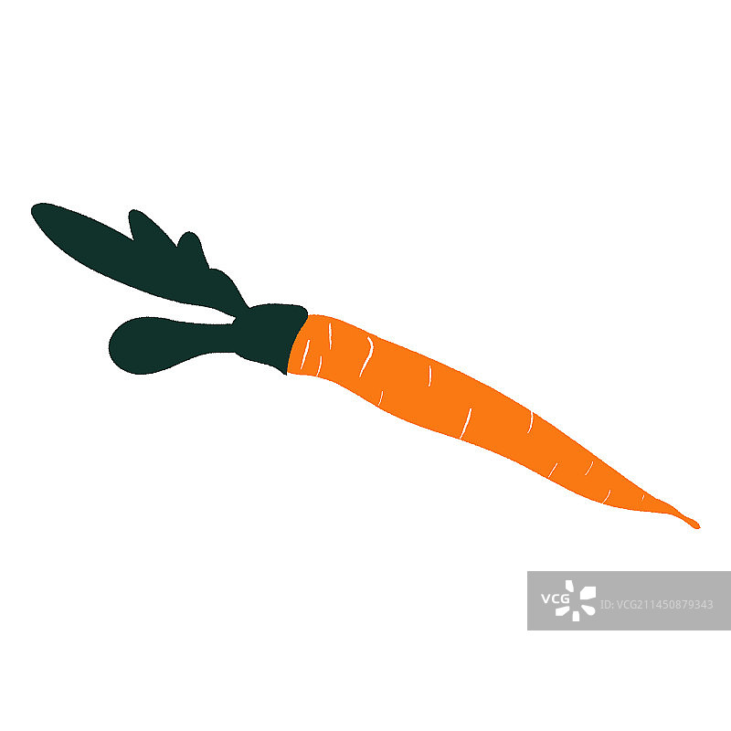 手绘胡萝卜蔬菜图片素材