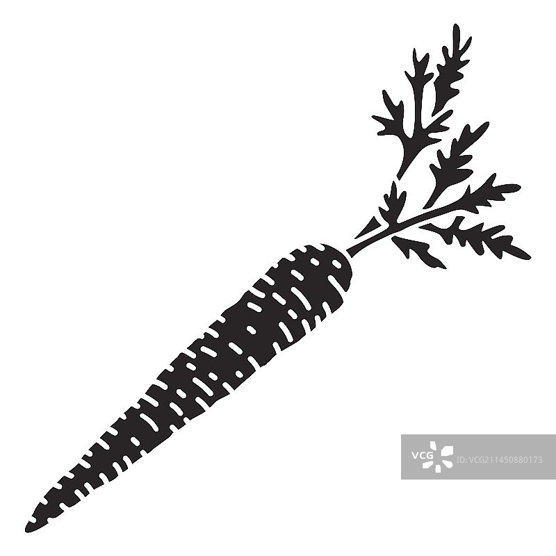 精细切割的胡萝卜图片素材