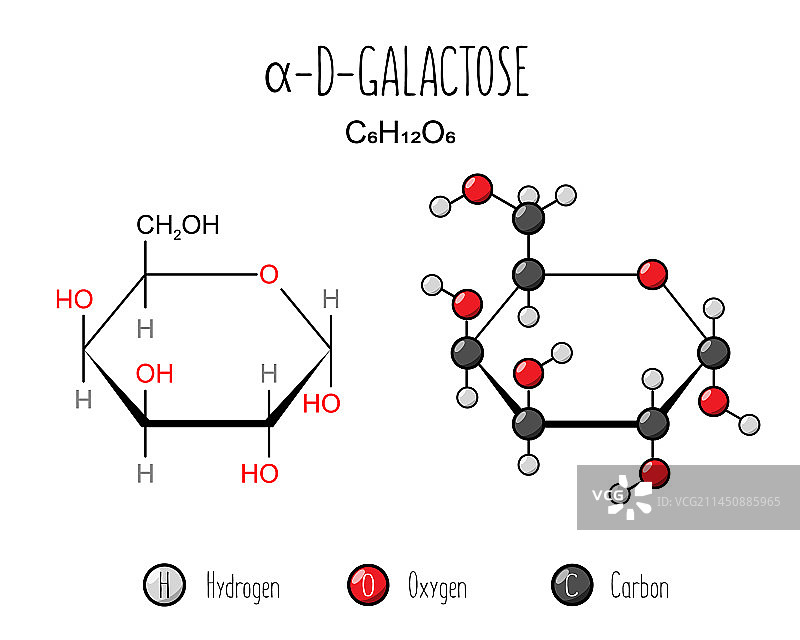 α-半乳糖骨骼和平坦表示图片素材