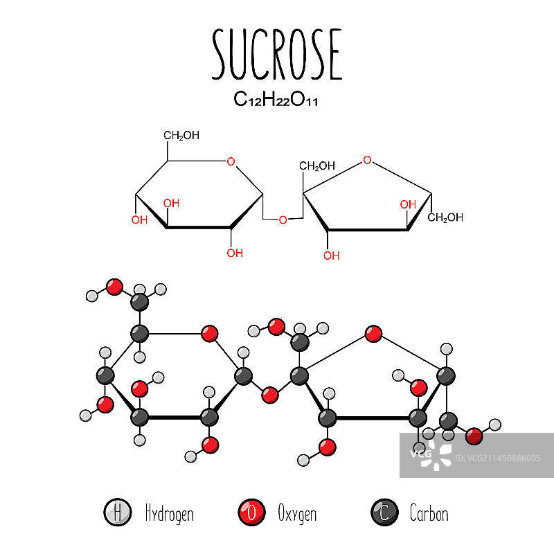 蔗糖骨架结构扁平图图片素材