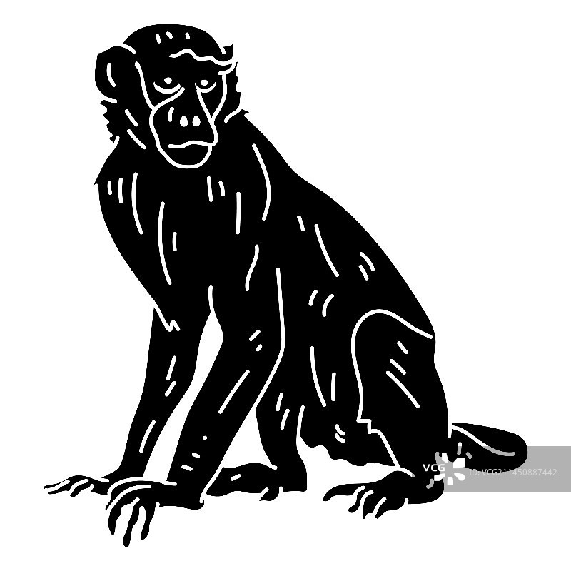 卷尾猴剪影图片素材