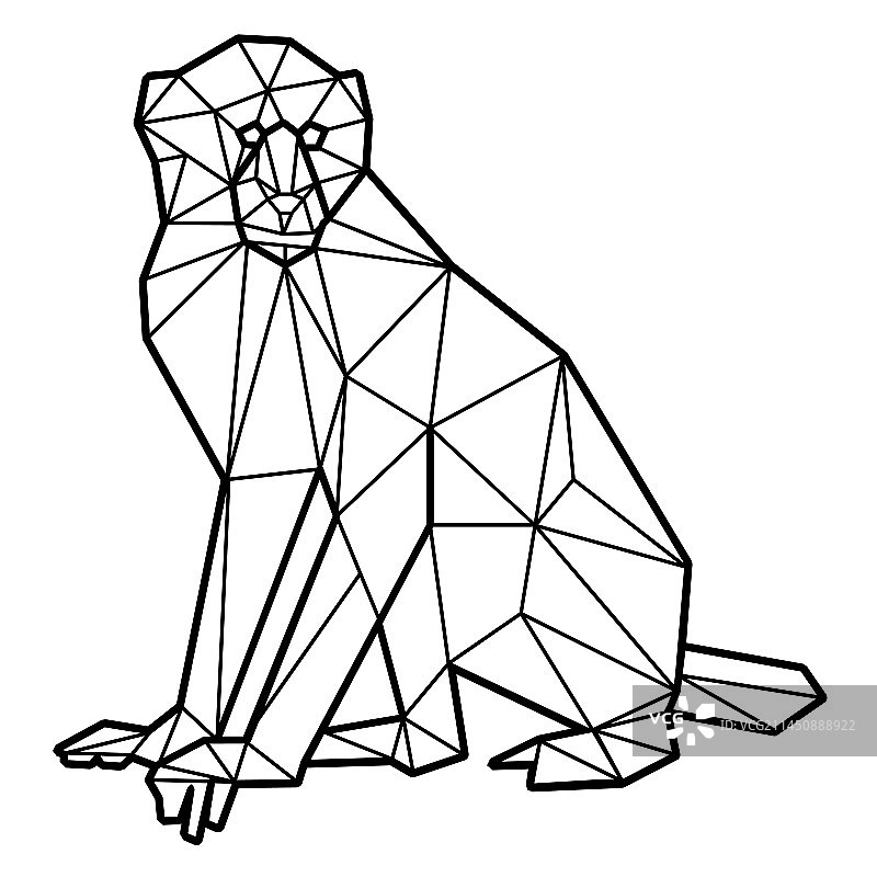 多边形卷尾猴图片素材