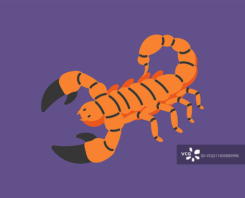 占星十二宫天蝎座概念图片素材