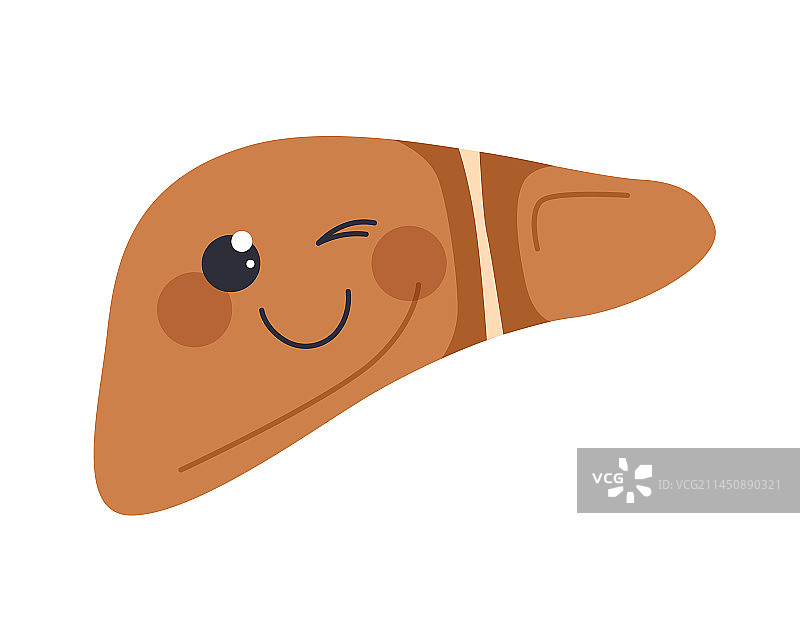 可爱的人体肝脏概念图片素材