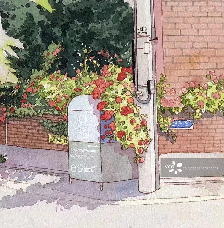 玫瑰风景图片素材