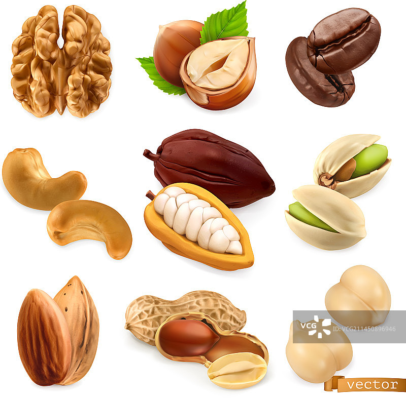 坚果和豆类：核桃、榛子、咖啡、腰果图片素材