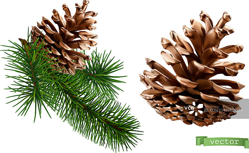 3D拟真松果圣诞装饰图标图片素材