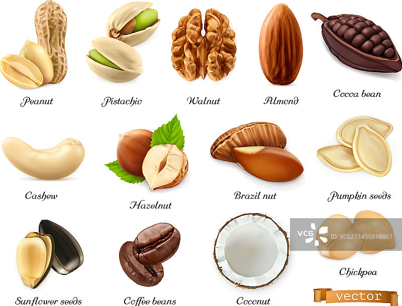 坚果、种子和豆类3D模型素材图片素材