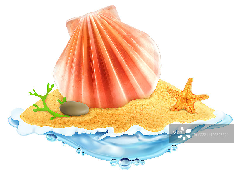 沙滩上的海螺图片素材