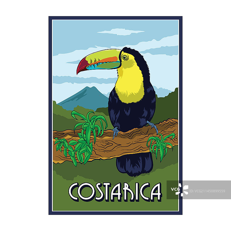 巨嘴鸟海报设计图片素材