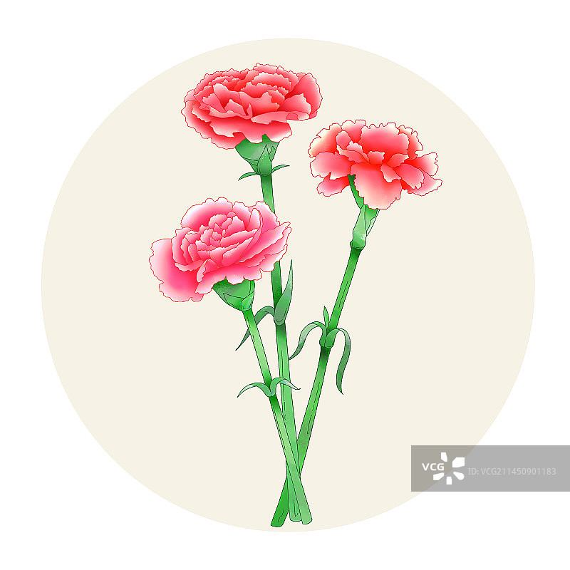 手绘水彩花卉康乃馨图片素材