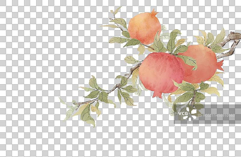 国风秋天石榴插画意境图片素材