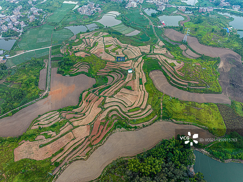 农村二维码图片素材