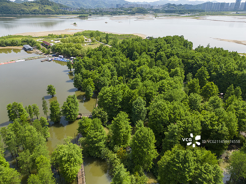 杭州临安青山湖水上森林航拍图片素材
