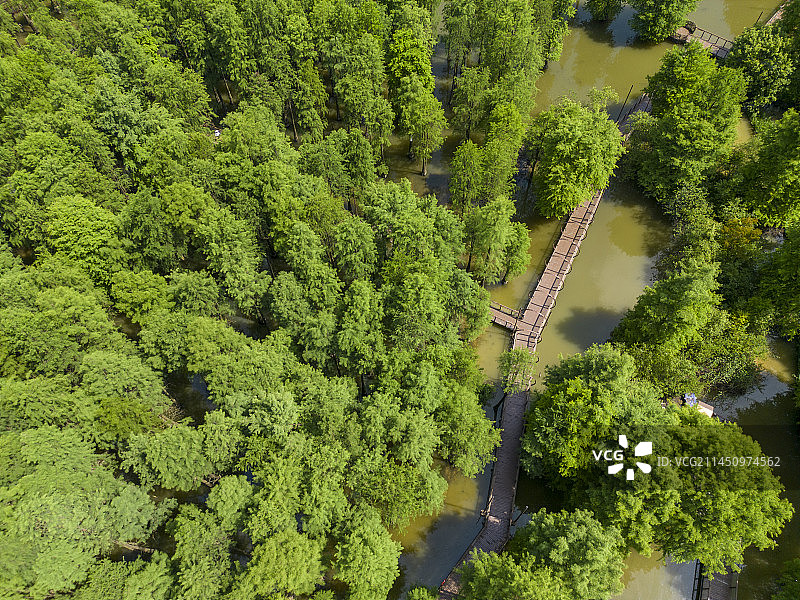 杭州临安青山湖水上森林航拍图片素材