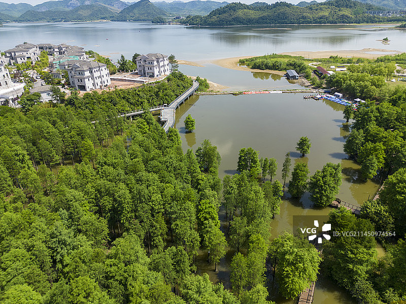 杭州临安青山湖水上森林航拍图片素材