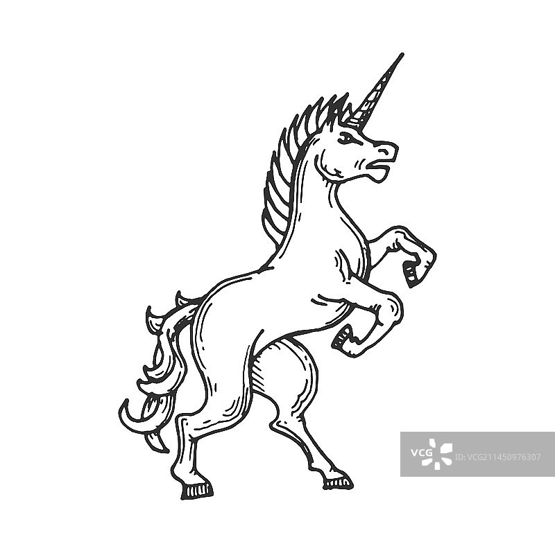 独角兽中世纪纹章动物素描图片素材