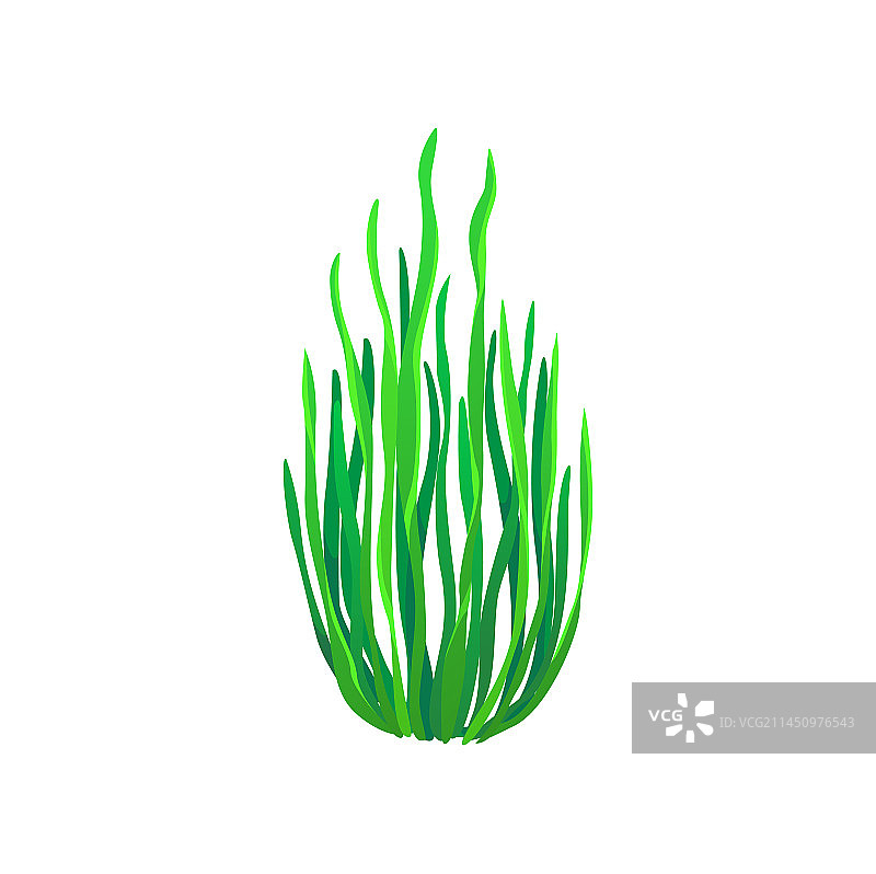 卡通水下肠膜海藻图片素材