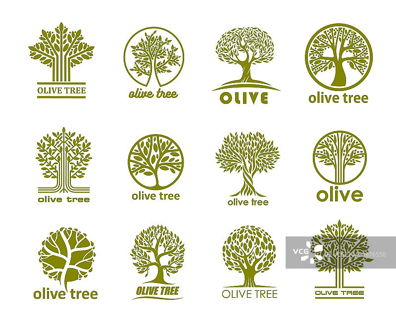 橄榄树图标橄榄油标签有机食品图片素材