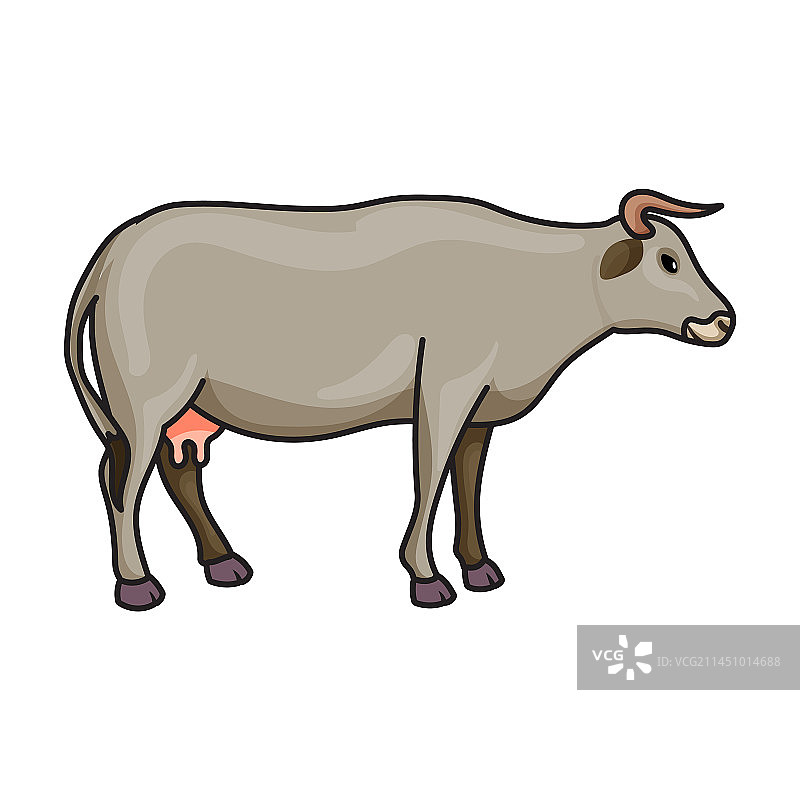 动物奶牛彩色图标图片素材