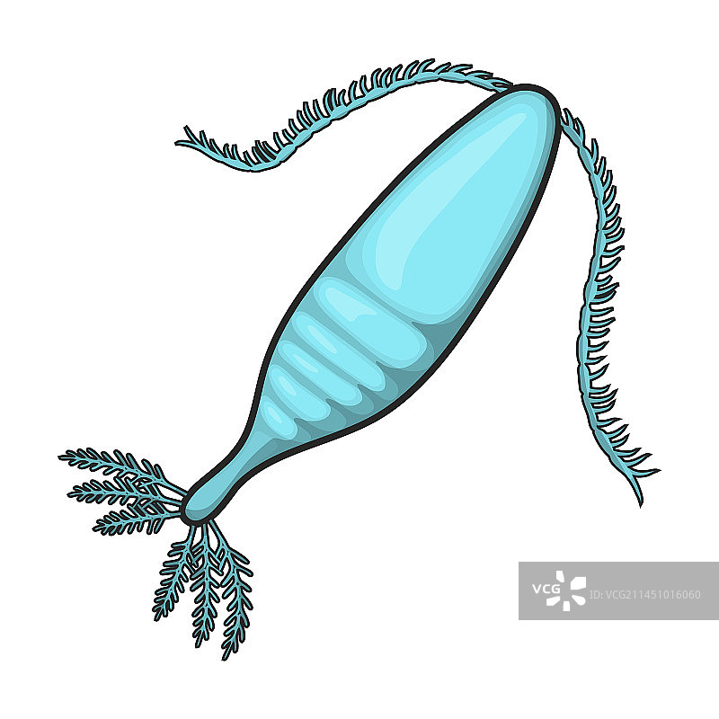 白色背景上的浮游生物图标彩色logo图片素材