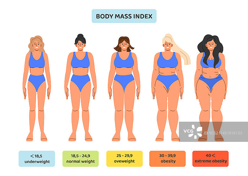 体重指数概念合集图片素材
