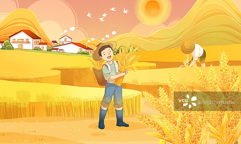 秋天农民们在麦田里忙碌着 节气插画图片素材