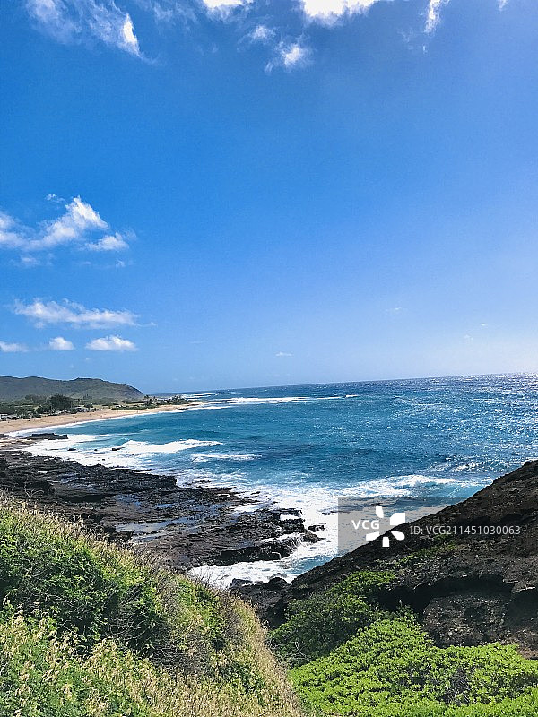 夏威夷可可火山口植物园图片素材