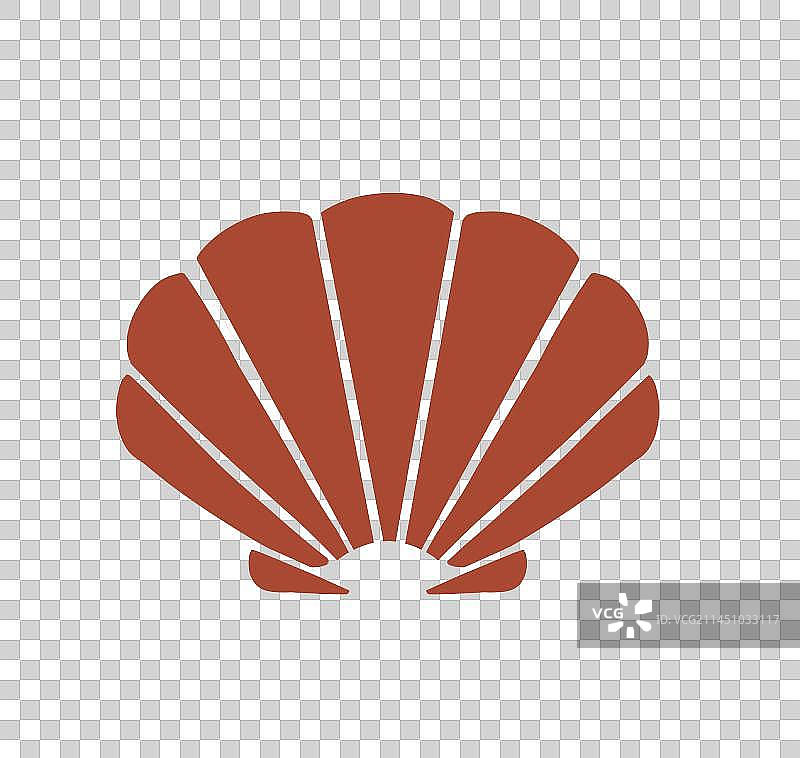 扇贝图片素材