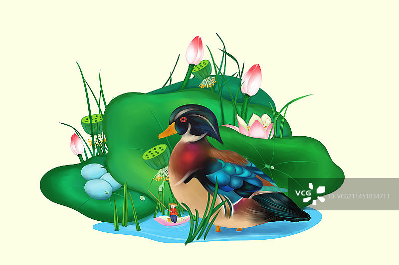 鸭子-鸭蛋包装插画图片素材