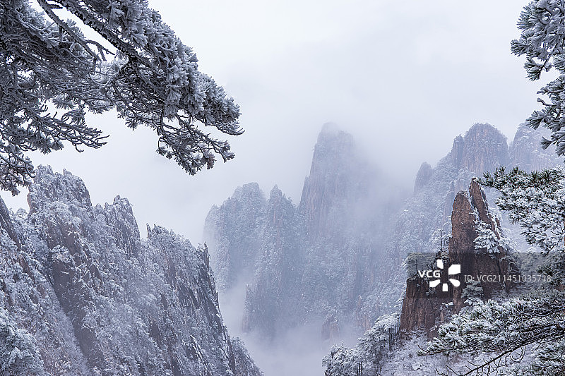 黄山雪后雾凇图片素材