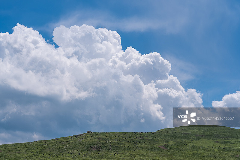 蓝天&白云&草原图片素材